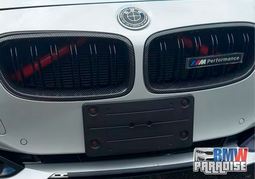 КАРБОН Подвійні ніздрі, решітка радіатора у М стилі BMW F30 F31 2012-19 322-27 фото